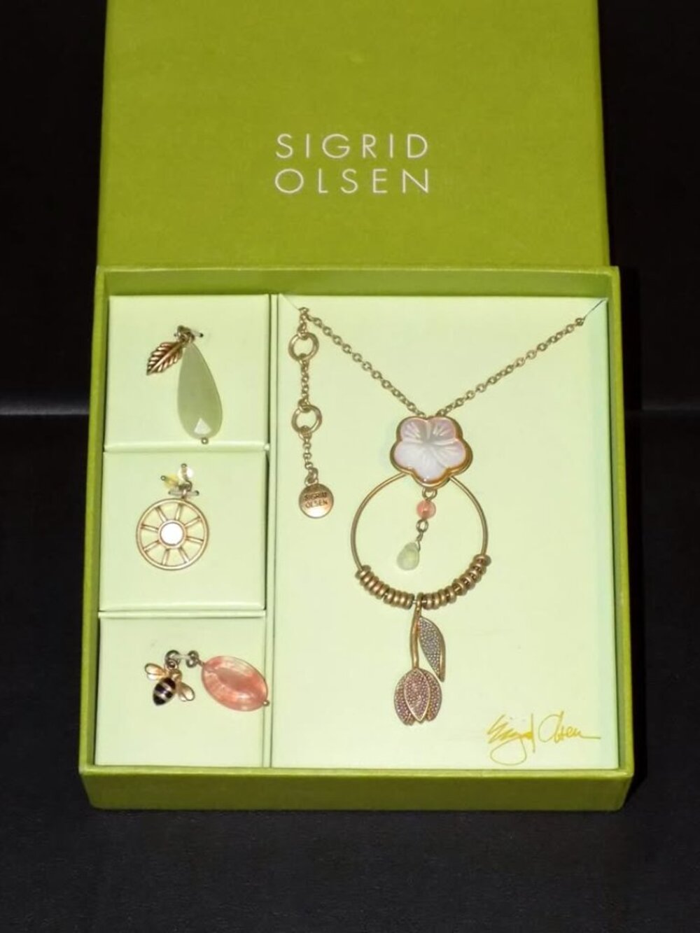 New Sigrid Olsen 6 Interchangeable Nature Charms Necklace Set. MOP, Semiprecious